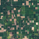 Illustration for article titled The Real Reason a Million Acres of Americas Farmland Disappeared Last Year